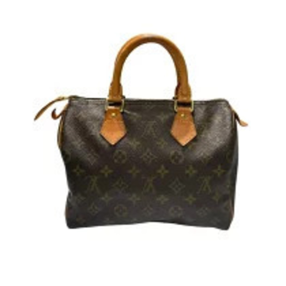 Louis Vuitton Speedy Brown Monogram Canvas Handbag